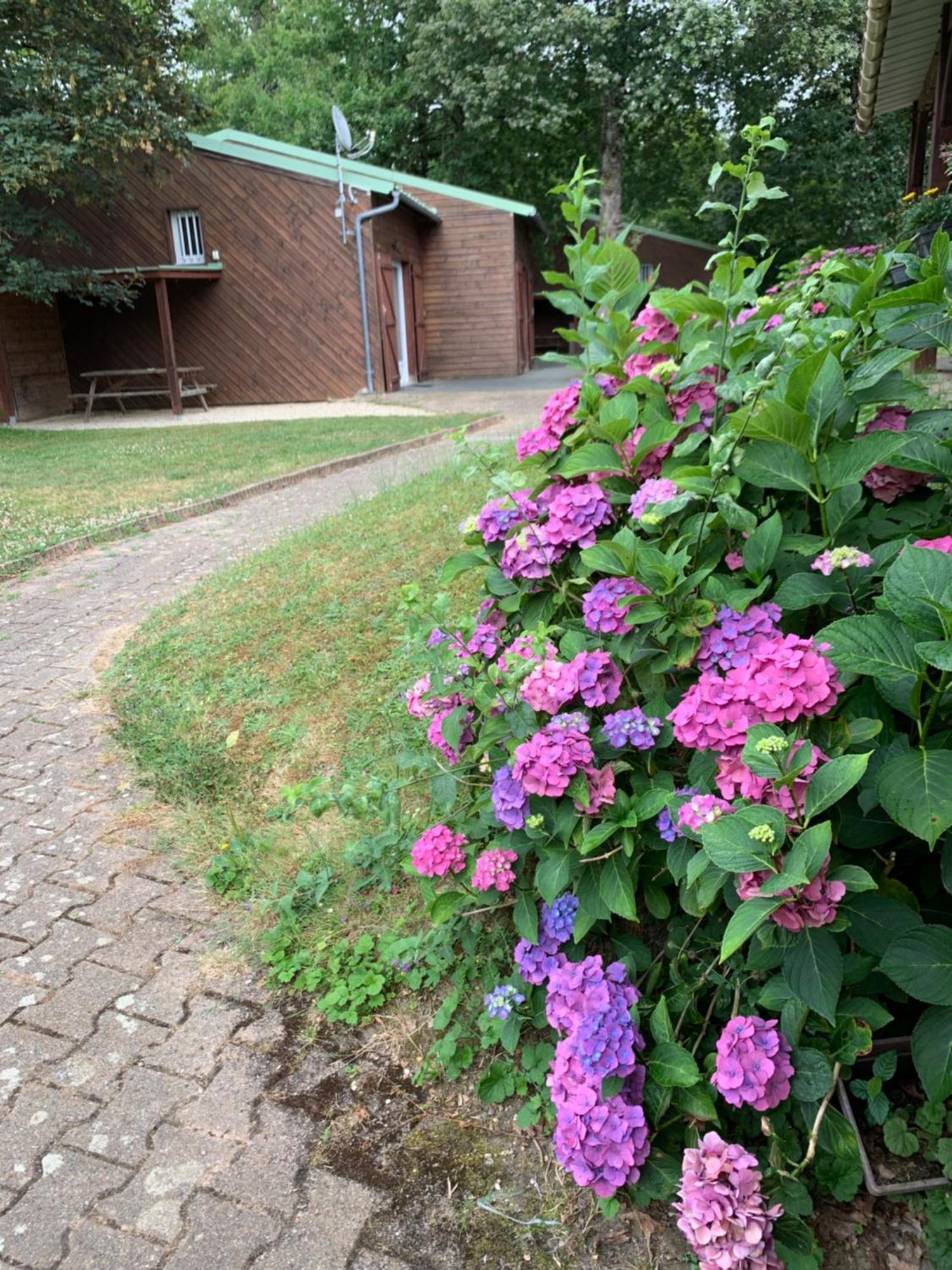 Chalets Mouliere Evasion Montamisé 외부 사진