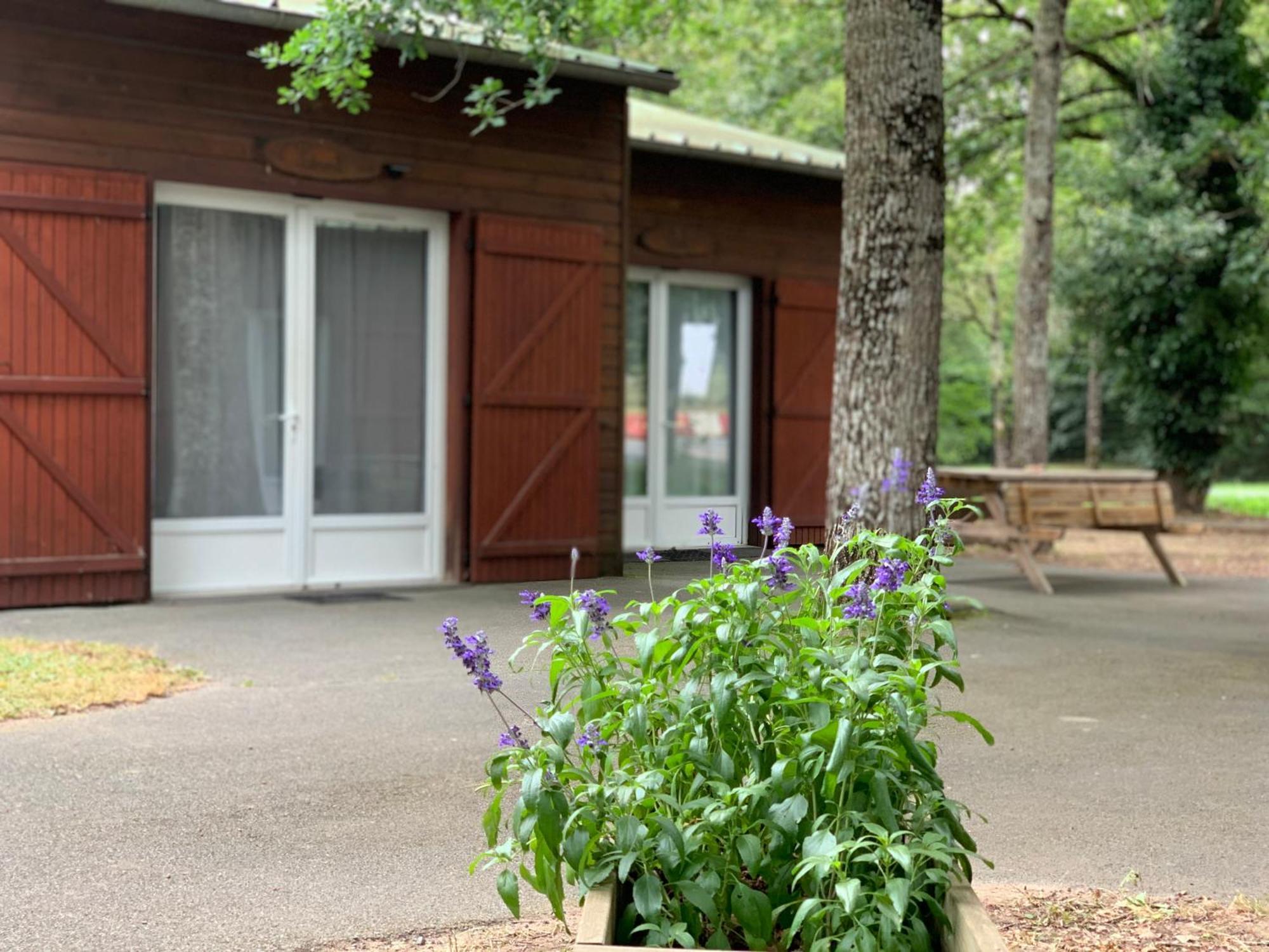 Chalets Mouliere Evasion Montamisé 외부 사진
