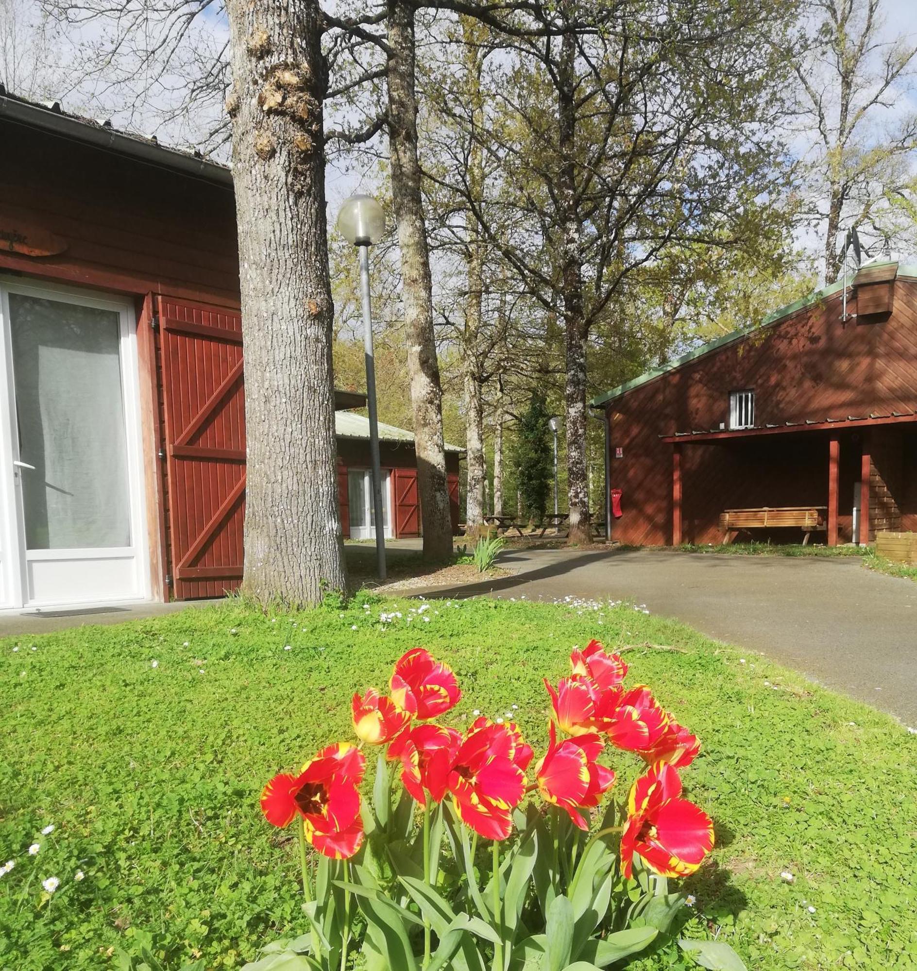 Chalets Mouliere Evasion Montamisé 외부 사진